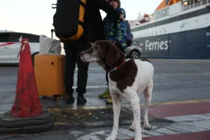 Πάσχα: Άρχισε η έξοδος των εκδρομέων για τα νησιά, αυξημένη η κίνηση,ΦΩΤΟ Πάσχα: Άρχισε η έξοδος των εκδρομέων για τα νησιά, αυξημένη η κίνηση,ΦΩΤΟ