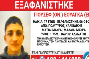 Χαλκιδική: Εξαφάνιση 17χρονου και ανακοίνωση από το Χαμόγελο του Παιδιού