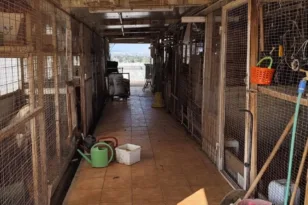 Από το μποστάνι στη στάνη: Ο αρχιτέκτονας πίσω από τη φάρμα στην Κηφισίας - Η υπερασπιστική του γραμμή