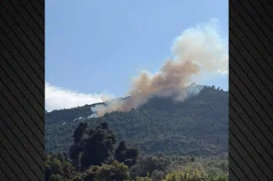 Άμπελος Αχαΐας: Ξέσπασε φωτιά, επιχειρούν 58 πυροσβέστες