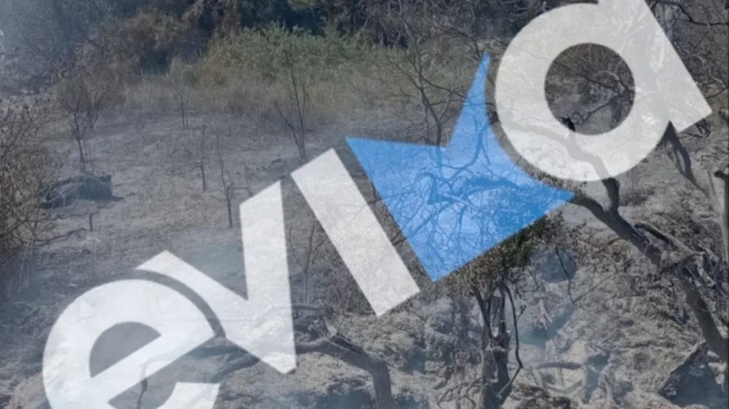 Σύλληψη 56χρονου για πυρκαγιά από αμέλεια στην Εύβοια – Πρόστιμο άνω των 1.000 ευρώ