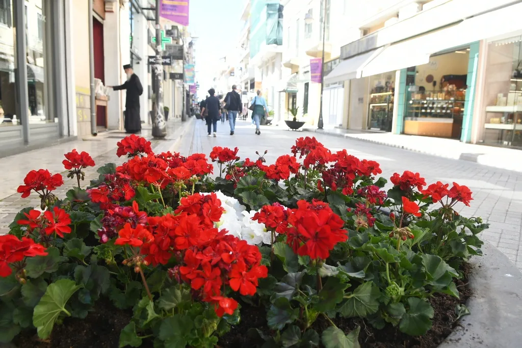 Πάτρα: Κόκκινα γεράνια στη Ρήγα Φεραίου και λουλούδια σε πλατείες ενόψει Πρωτομαγιάς ΦΩΤΟ