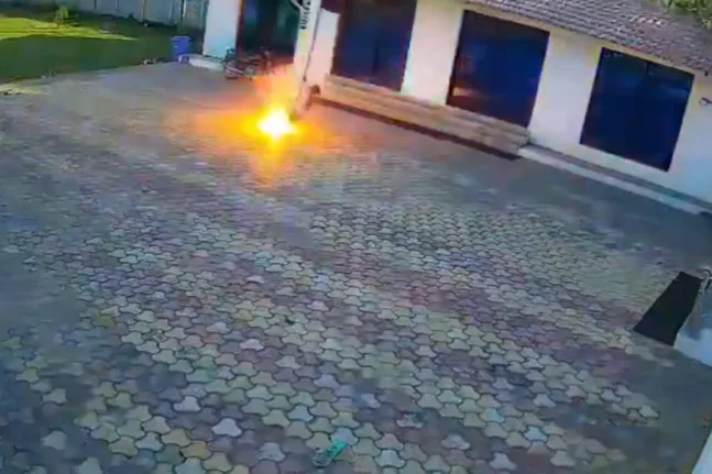 Ινδία: Άνδρας υπέστη ηλεκτροπληξία στην προσπάθεια να απομακρύνει μαϊμού