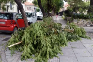 Πάτρα: Εναπόθεση κλαδεμάτων σε νέα σημεία – Ετοιμάζεται ο Δήμος για την αντιπυρική περίοδο 2026