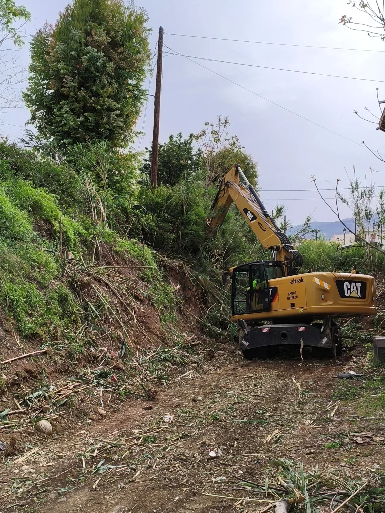 Πάτρα: Καθαρίστηκε η περιοχή μεταξύ των σχολείων Ανθούπολης και του Αρχαιολογικού Μουσείου