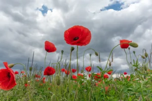 Με τι καιρό θα κάνουμε Πάσχα, οι προβλέψεις των μετεωρολόγων