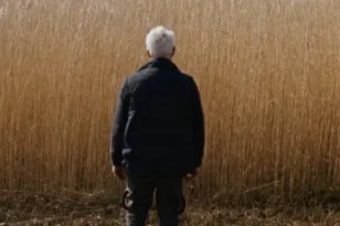 Ανάμεσα στις Καλαμιές: Η σιωπή του βάλτου