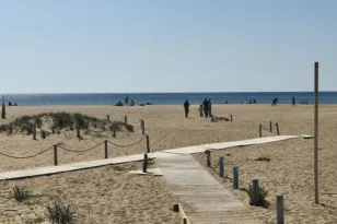 Η παραλία της Καλόγριας γέμισε κόσμο, οι τολμηροί βούτηξαν