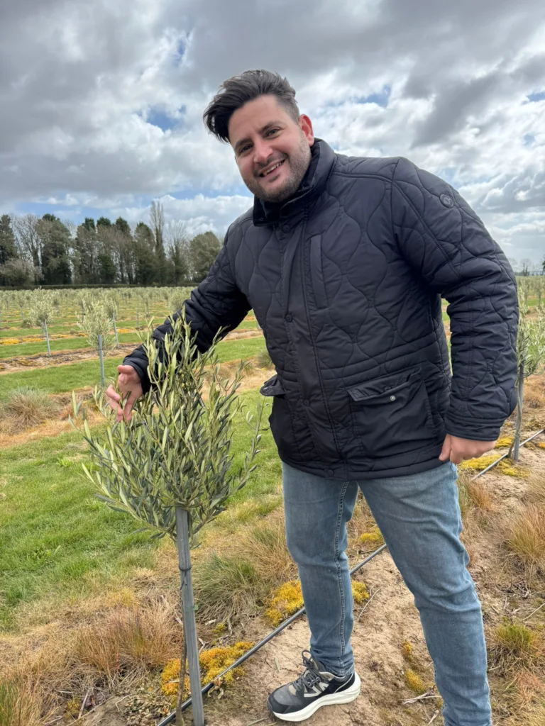 Πιλοτική εισαγωγή της ελαιοκομίας στο Ηνωμένο Βασίλειο: αγρονομική προσέγγιση και προοπτικές επιρροής για τους παραγωγούς πατάτας της Δυτικής Αχαϊας.