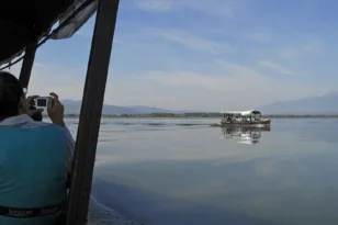 Λίμνη Κερκίνης: Σπάνιος υδροβιότοπος, τι να δείτε