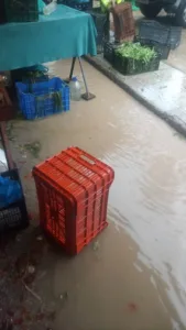 ΑΥΤΟΨΙΑ Πάτρα: Λαϊκές χωρίς κανόνες - Γιατί οι κάτοικοι μιλούν για διαχρονική δυσλειτουργία ΦΩΤΟ