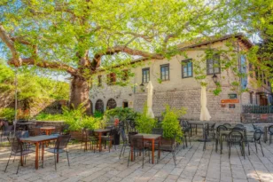 Μονοδένδρι: Το καμάρι της Ηπείρου