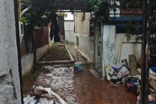 Τραγωδία στη Νέα Μάκρη: Σοκάρει η μαρτυρία του ανθρώπου που εντόπισε τον άτυχο 55χρονο