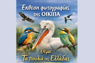 ΟΙΚΙΠΑ: Παρατείνεται μέχρι και την Κυριακή 5 Απριλίου Έκθεση φωτογραφίας «Τα πουλιά της Ελλάδας»
