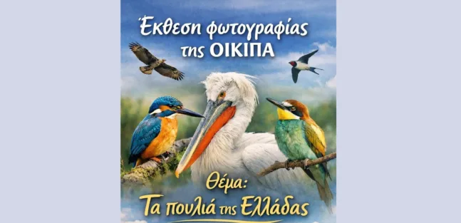 ΟΙΚΙΠΑ: Παρατείνεται μέχρι και την Κυριακή 5 Απριλίου η Έκθεση φωτογραφίας «Τα πουλιά της Ελλάδας»