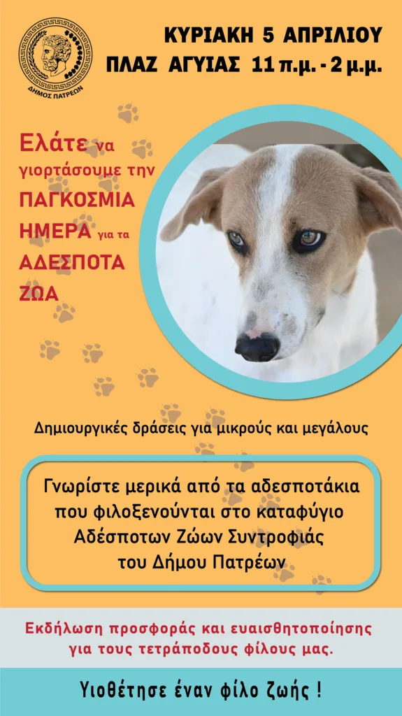 Πάτρα: Ασφυκτιά το καταφύγιο ζωών - «Η πόλη καλείται να ανοίξει τα σπίτια της» το μήνυμα Πελετίδη