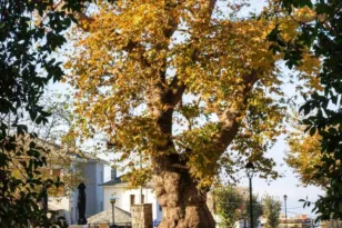 Πορταριά Πηλίου: Φύση και Αρχιτεκτονική