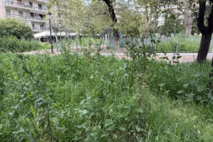 Πάτρα: Η πλατεία Όλγας τελειώνει αλλά υπάρχουν αντιδράσεις – «Εχει μετατραπεί σε ζούγκλα»