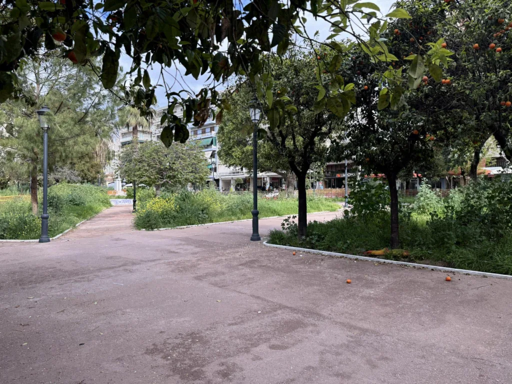 Πάτρα: Η πλατεία Όλγας τελειώνει αλλά υπάρχουν αντιδράσεις - «Εχει μετατραπεί σε ζούγκλα»