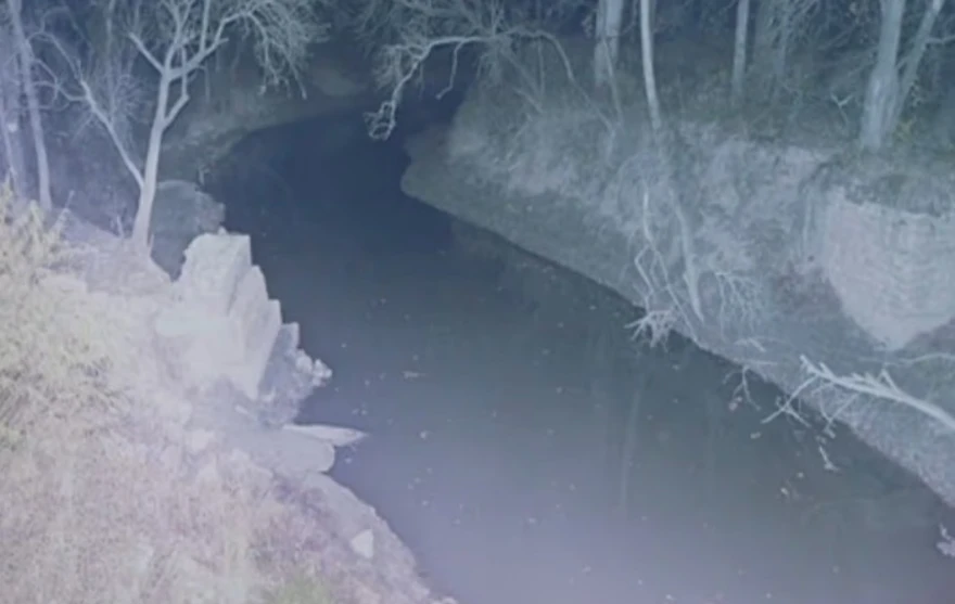 Τέξας: Νέες αποκαλύψεις για την απαγωγή και δολοφονία της 7χρονης Τέξας: Νέες αποκαλύψεις για την απαγωγή και δολοφονία της 7χρονης