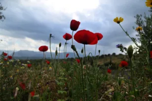 Καιρός: Με βροχές και πτώση της θερμοκρασίας μας αποχαιρετά ο Απρίλιος, η πρόγνωση για την Πάτρα