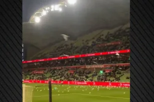 Εισβολή γλάρων στον αγωνιστικό χώρο και χάος σε ποδοσφαιρικό αγώνα στην Αυστραλία