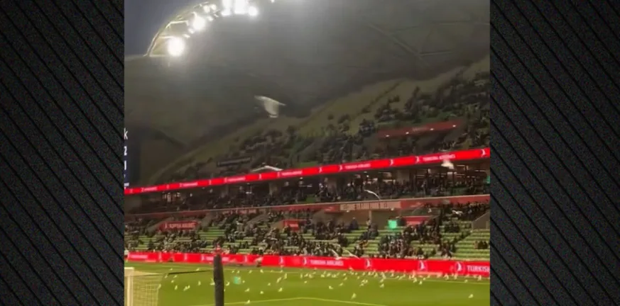 Εισβολή γλάρων στον αγωνιστικό χώρο και χάος σε ποδοσφαιρικό αγώνα στην Αυστραλία