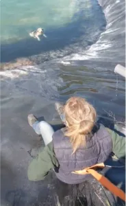 Κατερίνη: Επιχείρηση διάσωσης έξι σκύλων που είχαν πέσει σε ταμιευτήρα άρδευσης ΦΩΤΟΓΡΑΦΙΕΣ