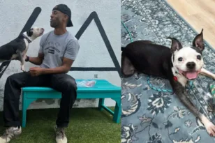 Άνδρας βρήκε ξανά τον σκύλο του μετά από 3 χρόνια – Η συγκινητική επανένωση