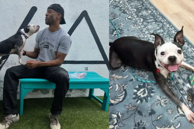 Άνδρας βρήκε ξανά τον σκύλο του μετά από 3 χρόνια – Η συγκινητική επανένωση