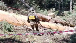 Πήγαν να κόψουν ξύλα και έπεσαν πάνω σε χειροβομβίδα!