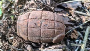 Πήγαν να κόψουν ξύλα και έπεσαν πάνω σε χειροβομβίδα!