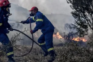 Φωτιά τώρα στη Λάρισα – Μεγάλη κινητοποίηση της Πυροσβεστικής στους Γόννους