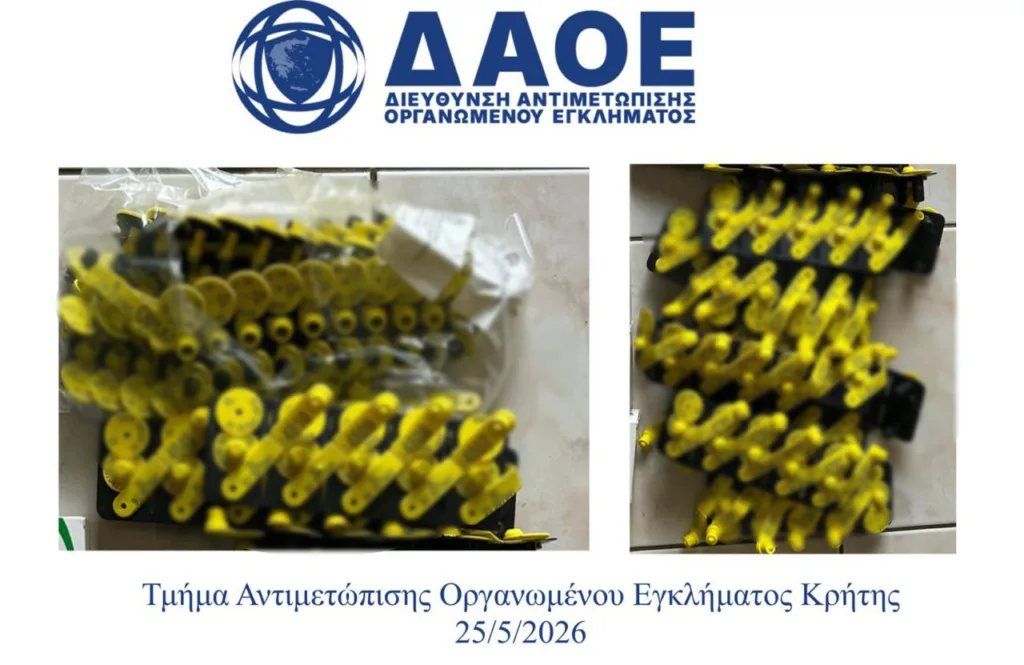 Παράνομες επιδοτήσεις ΟΠΕΚΕΠΕ: Πώς δρούσε το «κύκλωμα» των 116 εμπλεκομένων στην Κρήτη