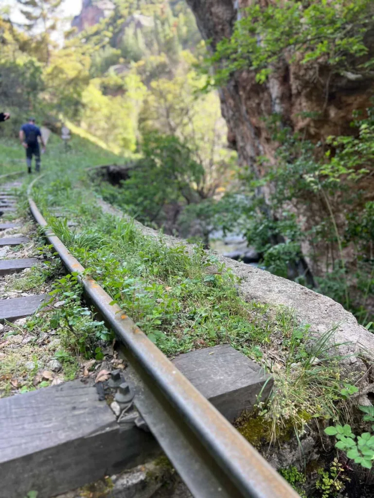Εκατοντάδες στο 46ο Πανελλήνιο Πέρασμα Βουραϊκού με μήνυμα για τον Οδοντωτό ΦΩΤΟ