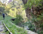 Εκατοντάδες στο 46ο Πανελλήνιο Πέρασμα Βουραϊκού με μήνυμα για τον Οδοντωτό ΦΩΤΟ
