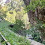 Εκατοντάδες στο 46ο Πανελλήνιο Πέρασμα Βουραϊκού με μήνυμα για τον Οδοντωτό ΦΩΤΟ