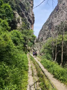 Χιλιάδες πεζοπόροι στο πέρασμα του Βουραϊκου, τα μηνύματα για τον Οδοντωτό