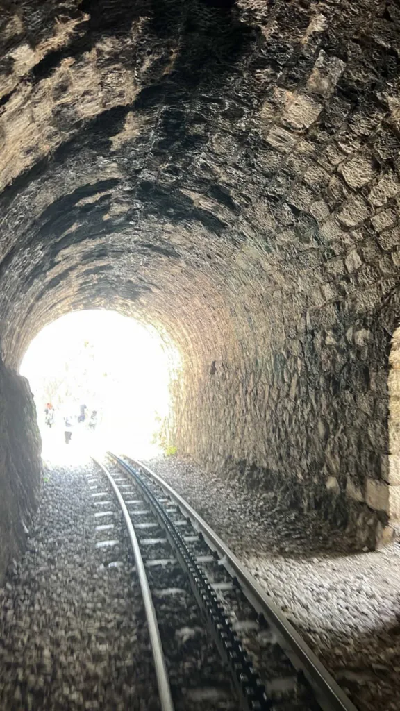 Εκατοντάδες στο 46ο Πανελλήνιο Πέρασμα Βουραϊκού με μήνυμα για τον Οδοντωτό ΦΩΤΟ