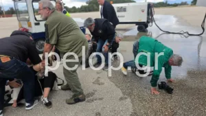 Διεθνές ρεζιλίκι στον Άραξο: Η γιορτή έγινε σκηνή ατυχήματος