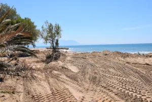Οι πολίτες καταγράφουν, μελετούν και προστατεύουν τις σπάνιες Κενταύριες της Δυτικής Ελλάδας