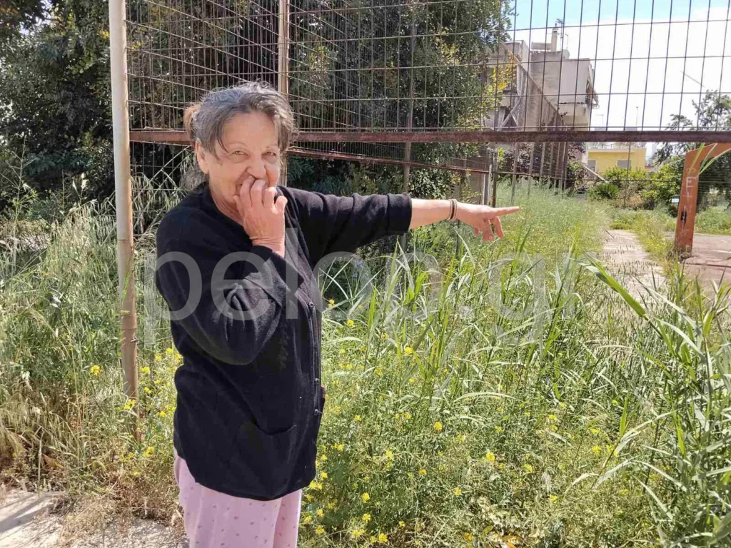 λεύκα
