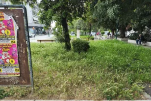 Φούντωσαν τα χορτάρια στην Πλατεία Παπαφλέσσα