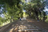 Δασύλλιο: Παρεμβάσεις πυροπροστασίας και νέα έργα - Σύντομα αισθητήρες και κάμερες