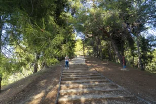 Δασύλλιο: Παρεμβάσεις πυροπροστασίας και νέα έργα – Σύντομα αισθητήρες και κάμερες
