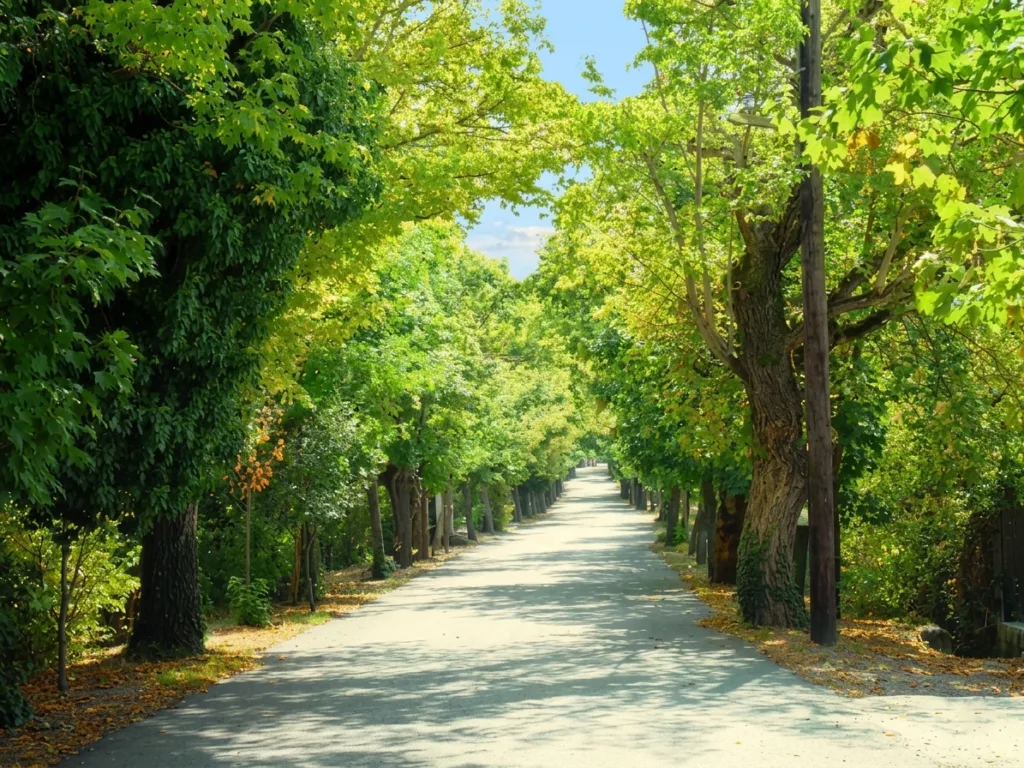Δεν έχεις κλείσει ακόμα για το Τριήμερο; 4 ιδανικές διαδρομές για road trip της τελευταίας στιγμής! Δεν έχεις κλείσει ακόμα για το Τριήμερο; 4 ιδανικές διαδρομές για road trip της τελευταίας στιγμής!