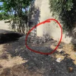 Για τη φωτιά που έβαλε σε σκουπίδια γυναίκα θα πληρώσει 7.129 ευρώ! ΦΩΤΟ
