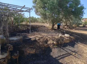 Για τη φωτιά που έβαλε σε σκουπίδια γυναίκα θα πληρώσει 7.129 ευρώ! ΦΩΤΟ