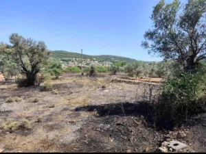 Για τη φωτιά που έβαλε σε σκουπίδια γυναίκα θα πληρώσει 7.129 ευρώ! ΦΩΤΟ