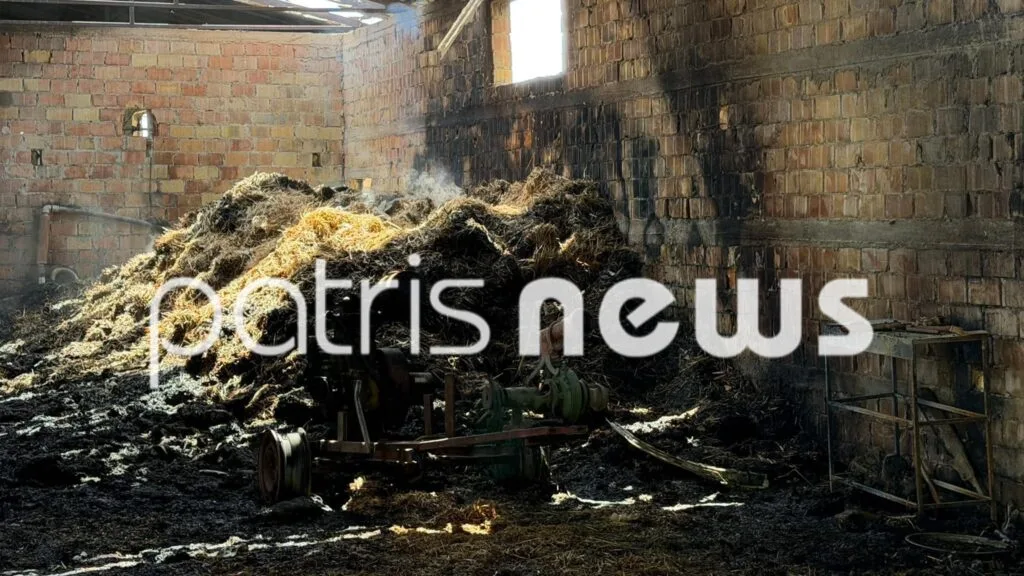 Ηλεία: Εμπρησμός και λεηλασία σε στάβλο στο Λευκοχώρι ΦΩΤΟ-ΒΙΝΤΕΟ